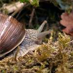 Musim se rychle schovat před bouřkou...