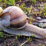 BioTaxík - aneb jak ušetřit energii... :-)