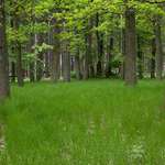 Pohodovka k Kunratickém lese