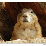 - What\'s up? -