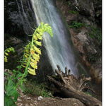 Šútovský vodopád 2