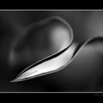 .. list .. (2)