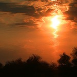 ***utopené sluníčko***