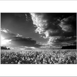 ***Má soukromá oblaka***