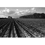 ***Řádkování :-)***