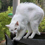 Já i \"astala vista\" jsme zajedno