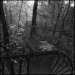 Návraty do veltruského parku XIII. - podzimní zátiší