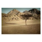 :.ZE ZEMĚ FARAONŮ.: