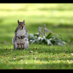 Prosim prosim, smutne koukam ..