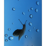 Dnes je to dobre namazane.