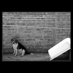 ***UŽ JSEM ZASE SÁM***