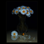 ***ZÁTIŠÍ SEDMIKRÁS***