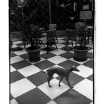 Jakýsi turista v pasáži Lucerna