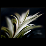 Už se na ten hokej nemůžu dívat :-(