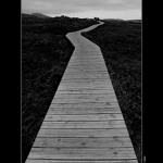 The way