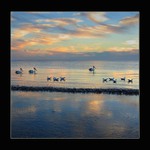 Podvečer na klidném moři