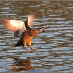 Moment před přistáním