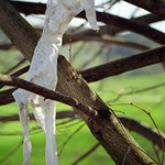 Zpráva o vydařeném máji