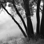 Shromáždění na  břehu