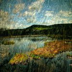 Šumava - tapestry