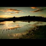 ...z toulek po Čechách...