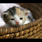 ...tak to je ten svět? tak tam mne nikdo nedostane...