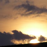 Kouřové signály