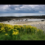 Sutherland coast II.