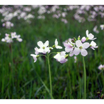 Špitání před spaním :)