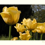 vzhůůůůru k nebesům