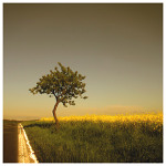 (nic noveho na obzoru)