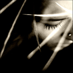 Awaiting the sunrise