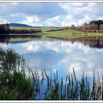 Zbynické rybníky III