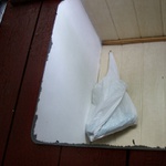 Myšky, pavouci a tak...