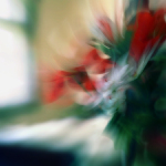 Kvetiny do postele aneb dobré ráno...