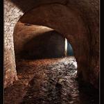 Sklep U sedmi švábů