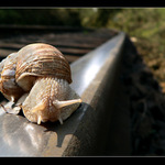 ..::Kolik času ještě mám ??::..