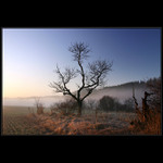 Ranní mlhy ... (No. 2)