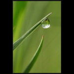 Taky jsem si to chtěl zkusit :)