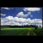 A slunci přeběhl po tváři stín ...