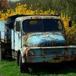 To auto jen kvete !!!