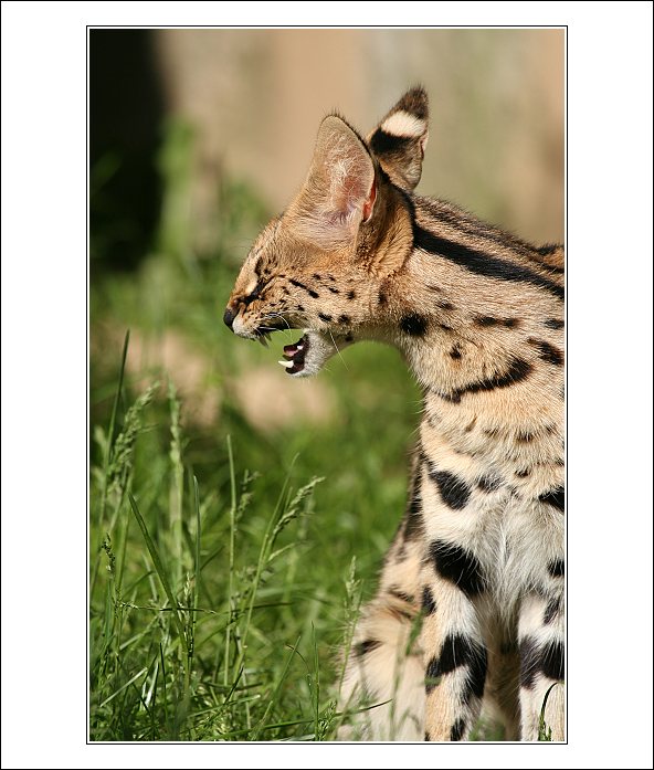 Lidi, no to sem se tak nasmaala ....