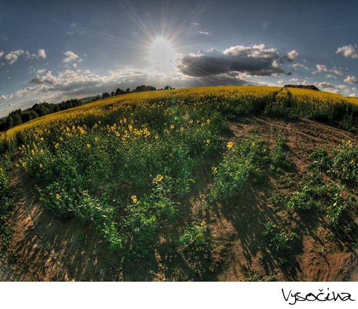 kulatá vysočina