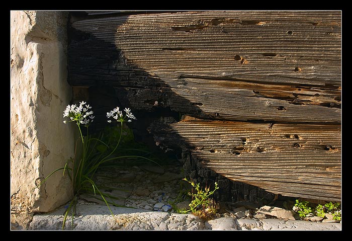 Stariště