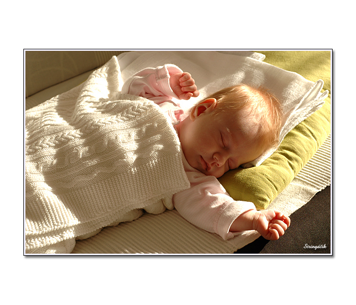 ... dobre ráno Slniečko ...