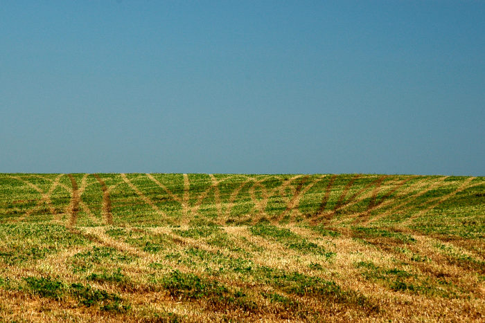 Cesty polem, nepolem