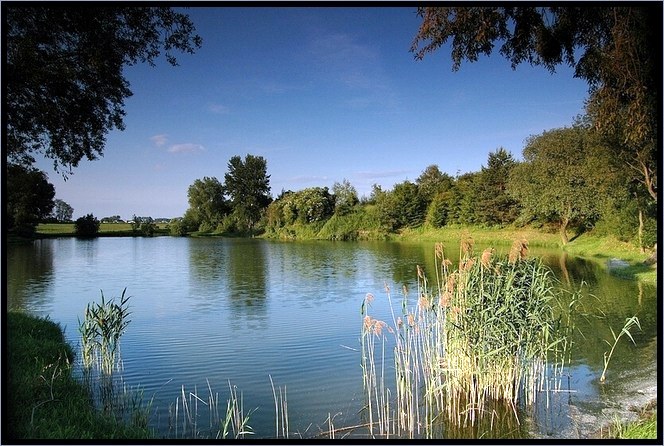 Odpoledne na rybniku