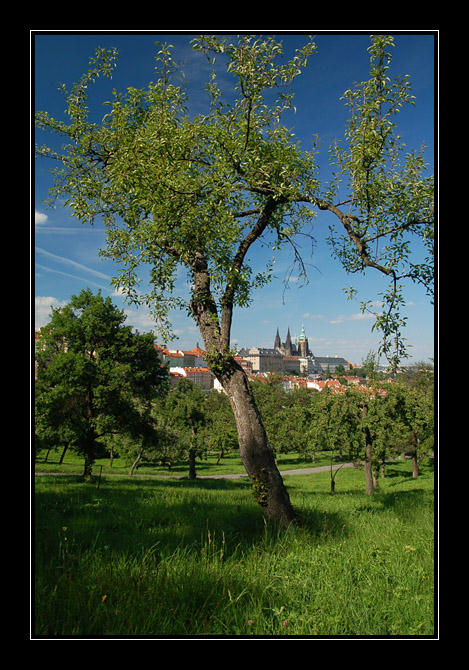 Kouzelný pohled na Pražský hrad