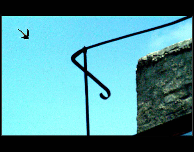 volnost