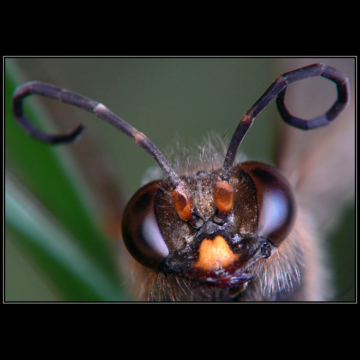 Tak sa ukaz nech si ta prezriem
